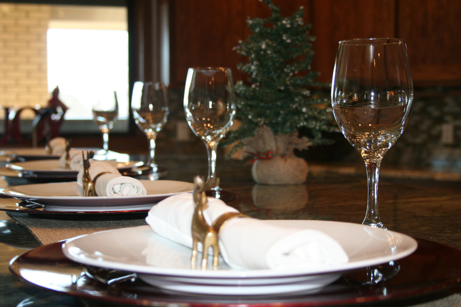 Holiday Tour of Homes